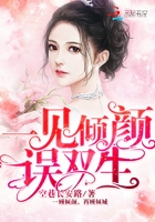 一见倾颜误双生