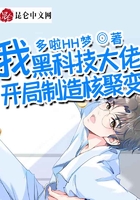 我,黑科技大佬,开局制造核聚变